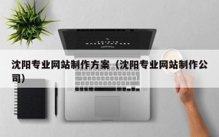 衡东沈阳专业网站制作方案（沈阳专业网站制作公司）